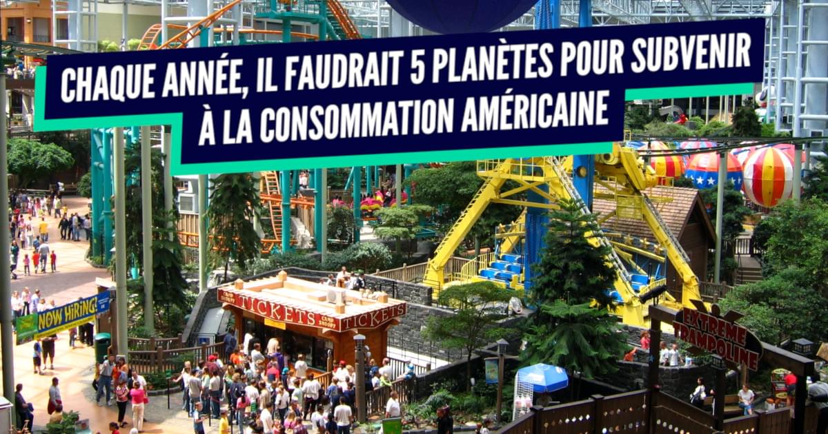 Top Des Pays Qui Consomment Le Plus De Plan Te Terre Tous Les Ans