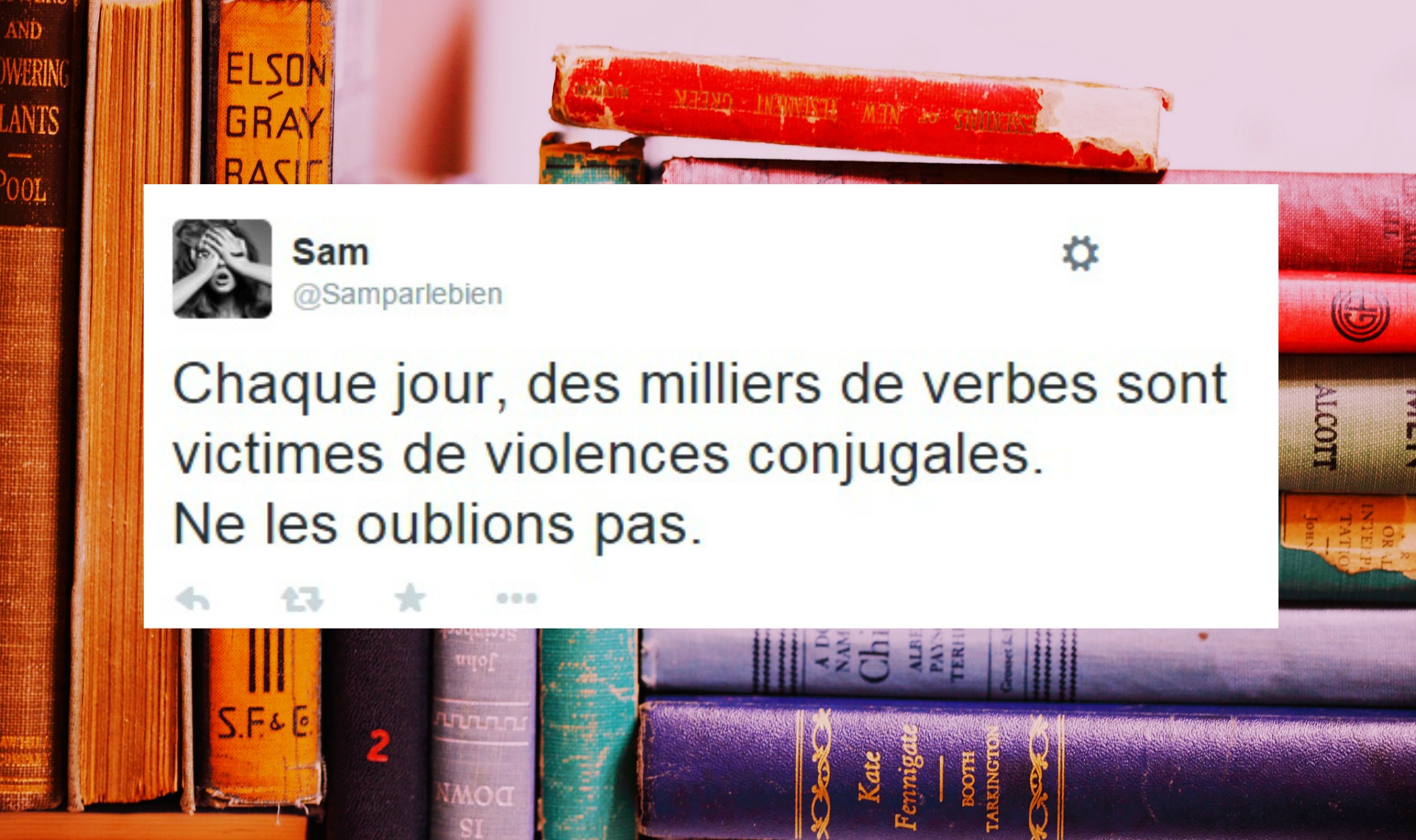 Top 15 Des Meilleurs Tweets De @SamParleBien, Du Lol En Hashtag